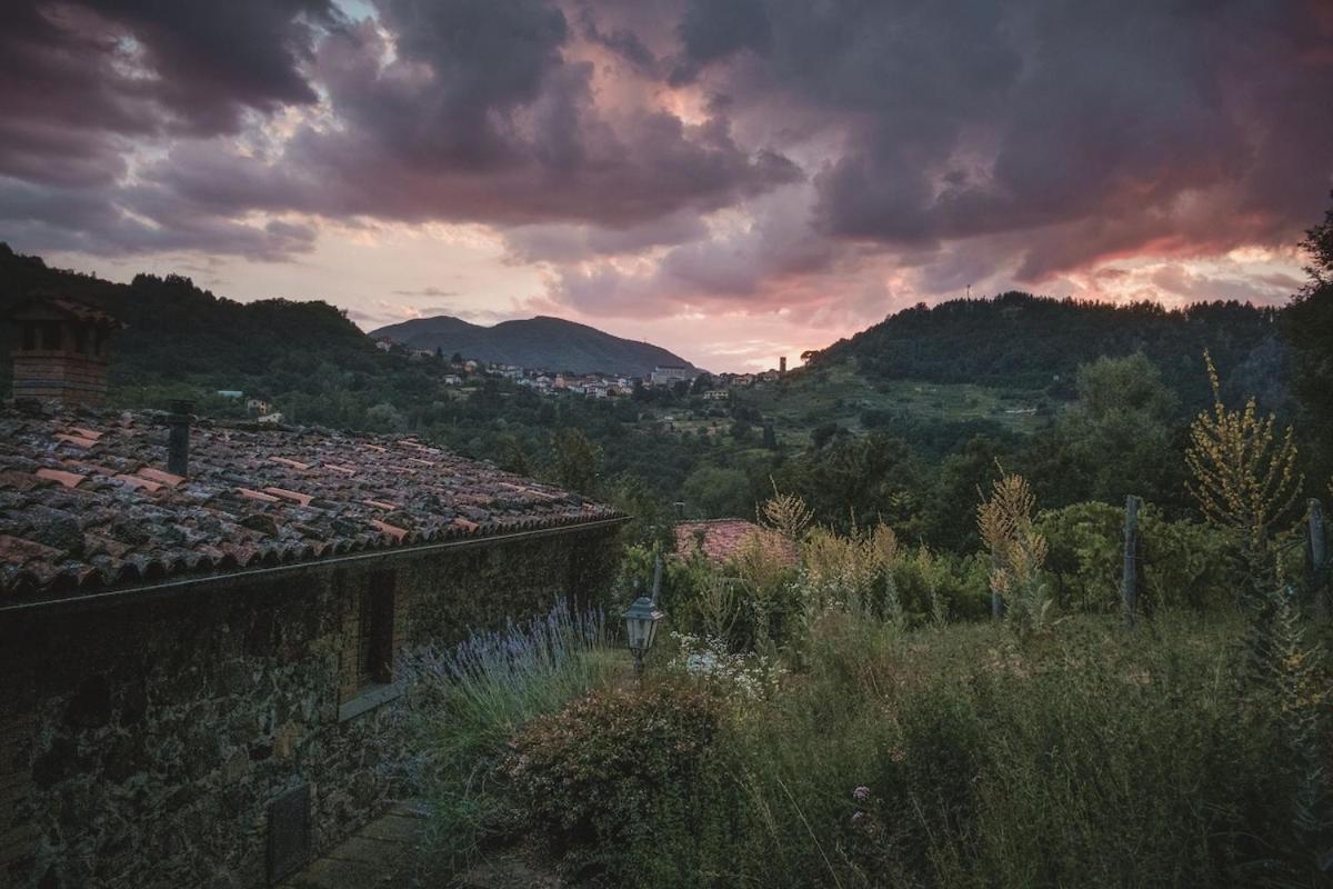 Borgo Del Sole Agriturismo Poggio  Eksteriør billede