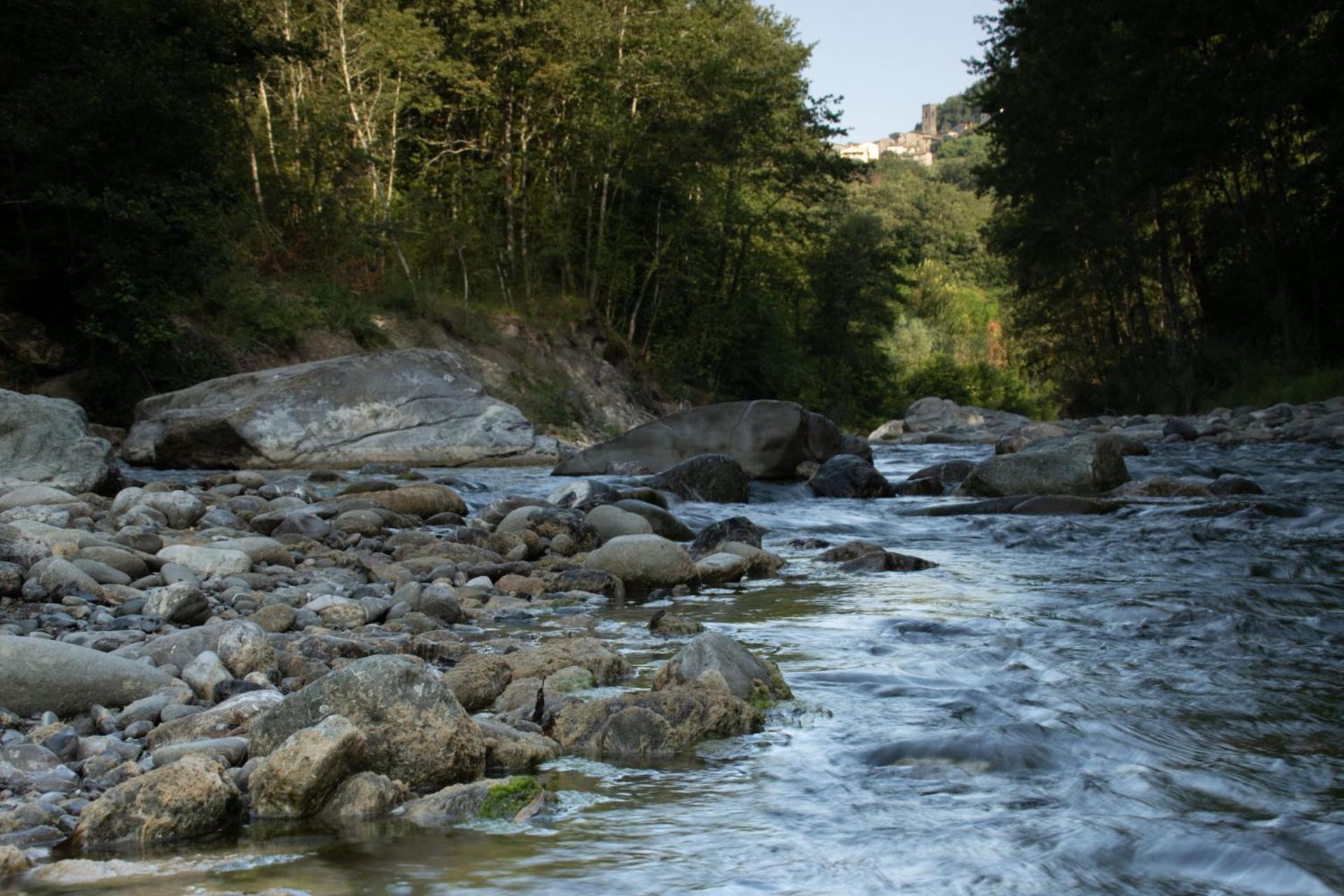 Borgo Del Sole Agriturismo Poggio  Eksteriør billede